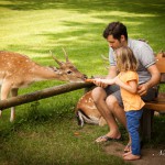 Siebter Schwangerschaftsmonat und Sommerpause